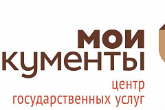 Мои документы: как оформить паспорт, СНИЛС, ИНН и ОМС