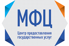 На вопросы москвичей о госуслугах ответит видеоконсультант