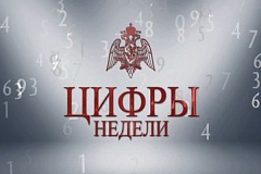 Более тысячи единиц оружия и боеприпасов изъяли из незаконного оборота столичные росгвардейцы за неделю (12.10.2026 - 18.10.2026)