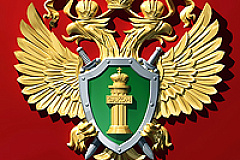 "Прямая линия" Московской городской военной прокуратуры